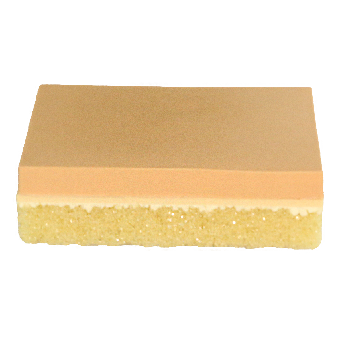 IO Training Bone Block (120 x 85 x 37 mm) | Training Bones and ...