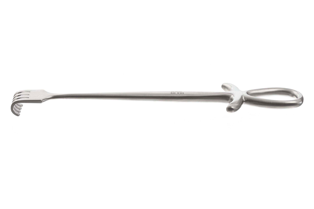 Murphy Rake Retractors | General | Surgical Instruments | All ...