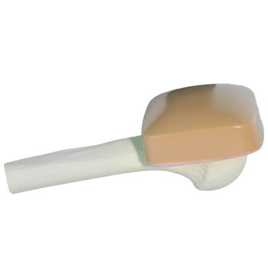 Adult Humeral Head Training Bone with Skin Patch