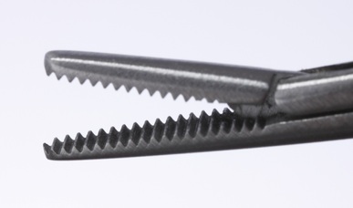 House Alligator Forceps