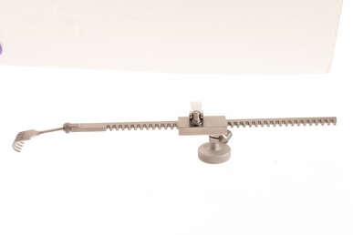 Cheanvechai-Favaloro Swivel Rake Assembly