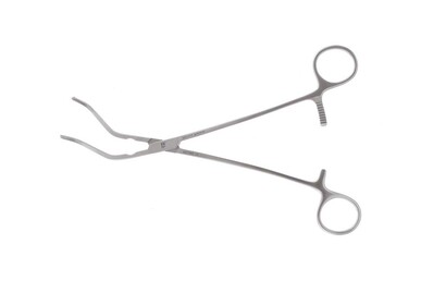 Cleveland Clinic Renal Clamps