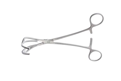 Lemole-Strong Aorta Clamps